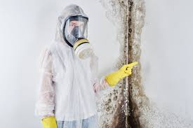 Why You Should Choose Our Mold Remediation Services in Beltsville, MD